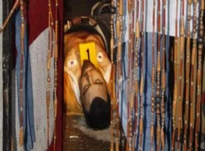 Cezaevinden çıktı, arkadaşını öldürdü!