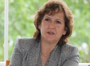 CHP'li Güler: Turk ulusunu silmeye kitlenmişler!