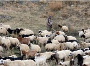 Çözüm süreci en çok onları umutlandırdı