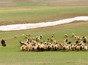 'Çözüm süreci' et fiyatlarına da yarayacak