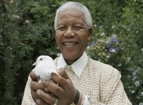 Çözüm süreci için Mandela'yla görüşülecek