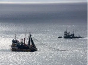 Denizlerde avlanma yasağı başlıyor