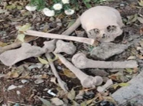 Erzurum'da insan kemikleri bulundu