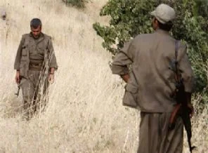 Hizbullah,PKK ve Fis örgütlerinde tesadüfilik kavramı
