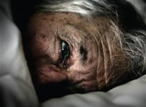 İstanbul Film Festivali ödülleri bugün belli oluyor