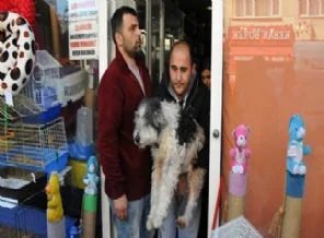 Kadıköy Belediyesi'nden canlı hayvan operasyonu