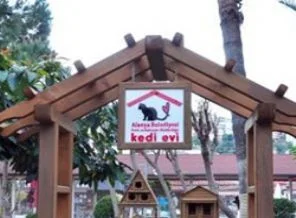'Kedi Evi' açıldı