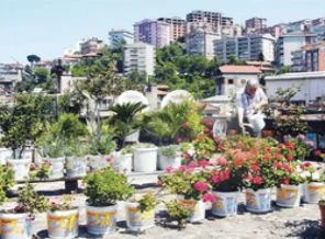 Kendi çileğini kendin yetiştir