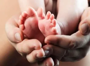 Milyonlarca tüp bebek yetim kaldı