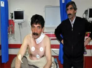 Muş'ta kurt dehşeti: 5 yaralı