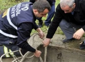 Önce kurtarıldı sonra kesildi