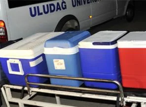 Organ nakli AB ile uyumlu olacak