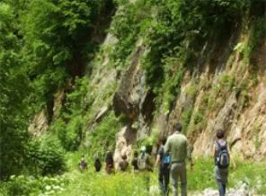 Orman bakanları İstanbul'da buluşuyor