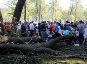 Piknik kabusa döndü:1 ölü