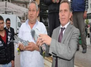Posta güvercinleri mesir taşıdı