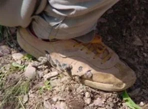 Soru cevaplandı mı? PKK nereden çekilmeye başlayacak?