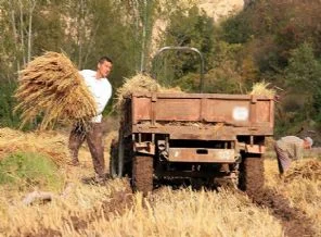 Tarım destekleri yüzde 20 arttı