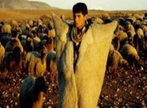 Türkiye'ye 'Çoban Okulu' geliyor