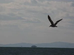 Van'da UFO heyecanı!