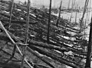 105 yıl sonra büyük patlamanın sırrı çözüldü