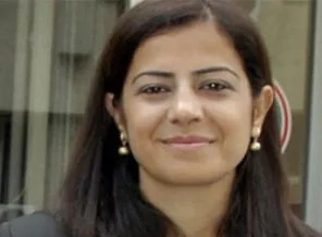 'AKP, CHP ve MHP siyasi kaygılarını bırakırsa, yeni anayasa yapılır'
