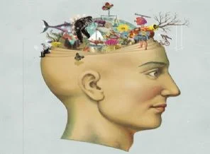Alzheimer'a karşı aktif beyin (Foto Galeri)
