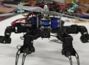 Avının üzerine inen robot örümcek