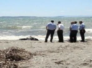 Balıkesir'de dehşete düşüren görüntü