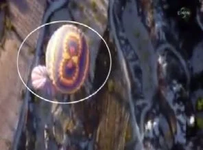 Balon kazasının yeni görüntüleri