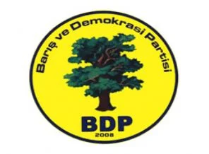 BDP Kadın Meclisi yönetimi belirlendi
