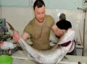 Bu balık pastırma olacak