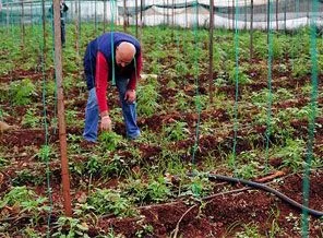 Çevreye duyarlı tarım