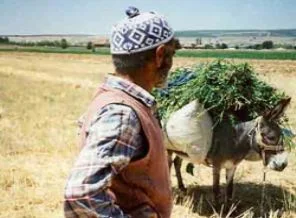 Çiftçiye kredi müjdesi!