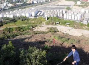 Dilovası'nın oksijen deposu yok mu ediliyor?