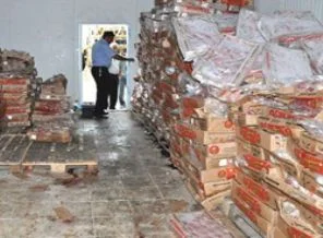 Diyarbakır'da 15 ton bozuk tavuk eti imha edildi