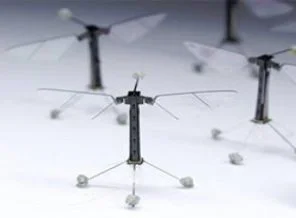 Dünyanın en küçük robot arısı