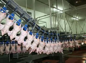 Et tüketiminde dünya ortalamasının altında kaldık