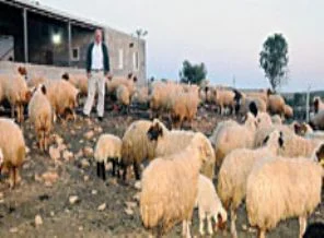 'Gurbette vatansız kaldık'