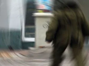 Hatay'da bomba paniği
