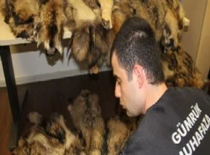 Havalimanı görevlileri şoke oldu!