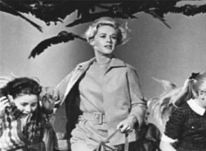 Hitchcock'un 'Kuşlar' filmi gerçek oldu!