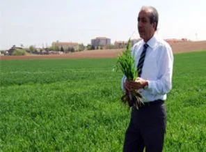 Hububatta prim müjdesi geldi