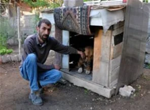 Mahkemeden köpeğe ilginç ceza
