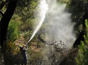 Manisa'da ve Bodrum'da orman yangını