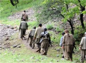 PKK'lıya 104 yıl müebbet istemi