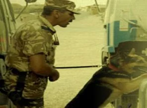 Romanya 2014'ten sonra da Afganistan'da kalacak