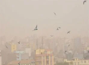 Şanlıurfa toz bulutlarına teslim