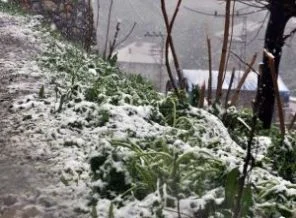 Saraybosna, ilkbaharda kar gördü