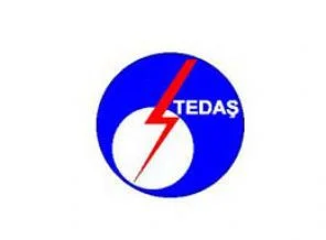 TEDAŞ'ta büyük vurgun!