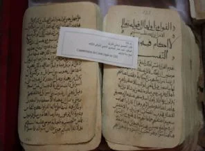 Timbuktu'daki el yazmaları eşeklerle kurtarılmış